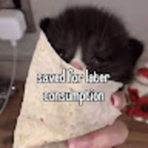 Meet your Posher, Aurora